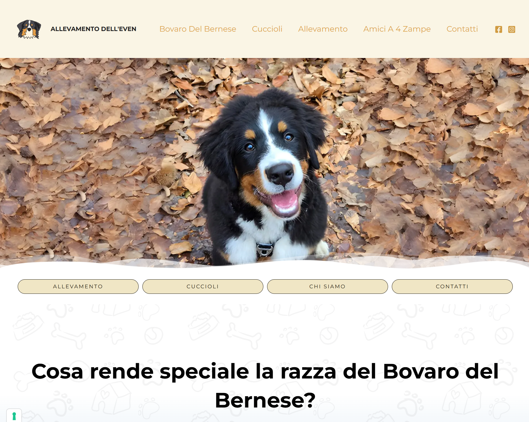 Allevamento dell'Even Allevamento dell'Even