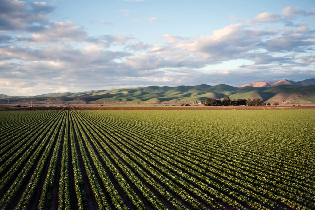 Aerial view of vast farmland with rows of crops and rolling hills in Santa Maria, CA.