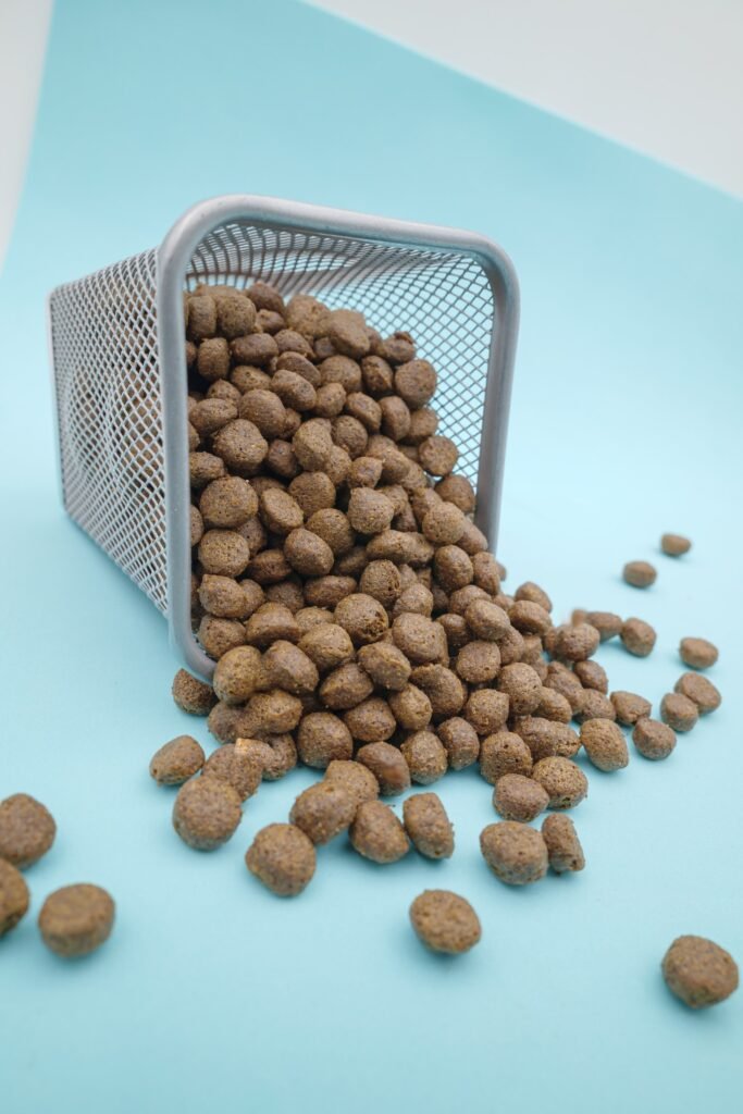 Fotografia still life di crocchette e alimenti per cani e gatti