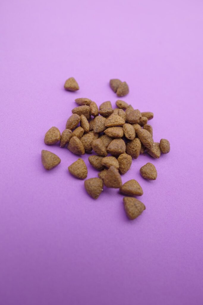 Fotografia still life di crocchette e alimenti per cani e gatti