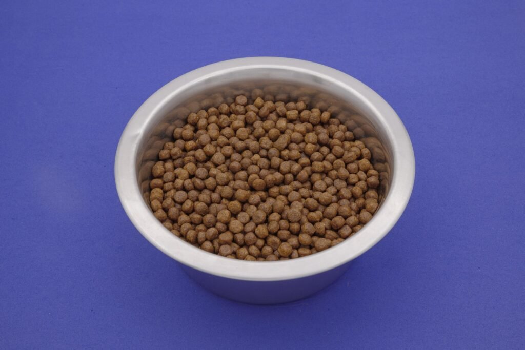 Fotografia still life di crocchette e alimenti per cani e gatti