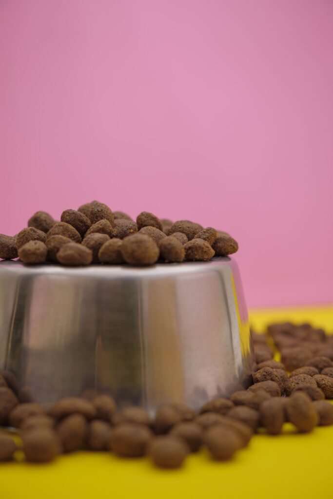 Fotografia still life di crocchette e alimenti per cani e gatti