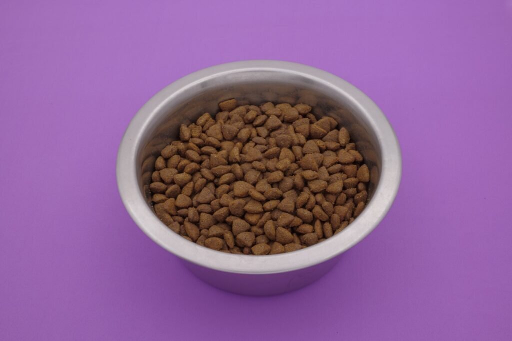 Fotografia still life di crocchette e alimenti per cani e gatti