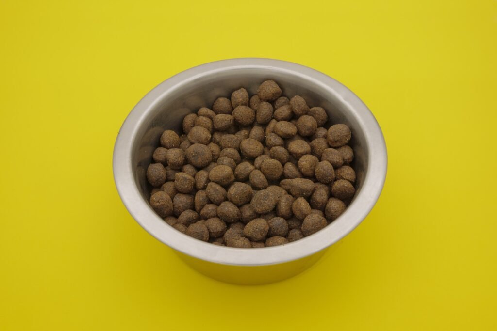 Fotografia still life di crocchette e alimenti per cani e gatti