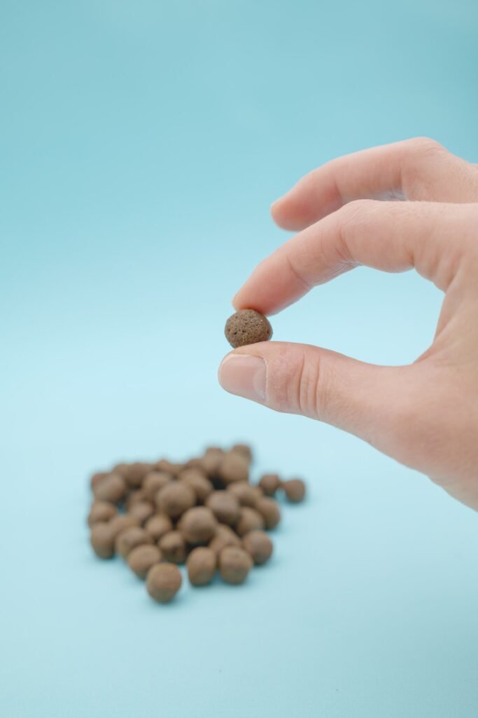 Fotografia still life di crocchette e alimenti per cani e gatti