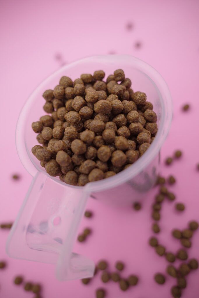 Fotografia still life di crocchette e alimenti per cani e gatti